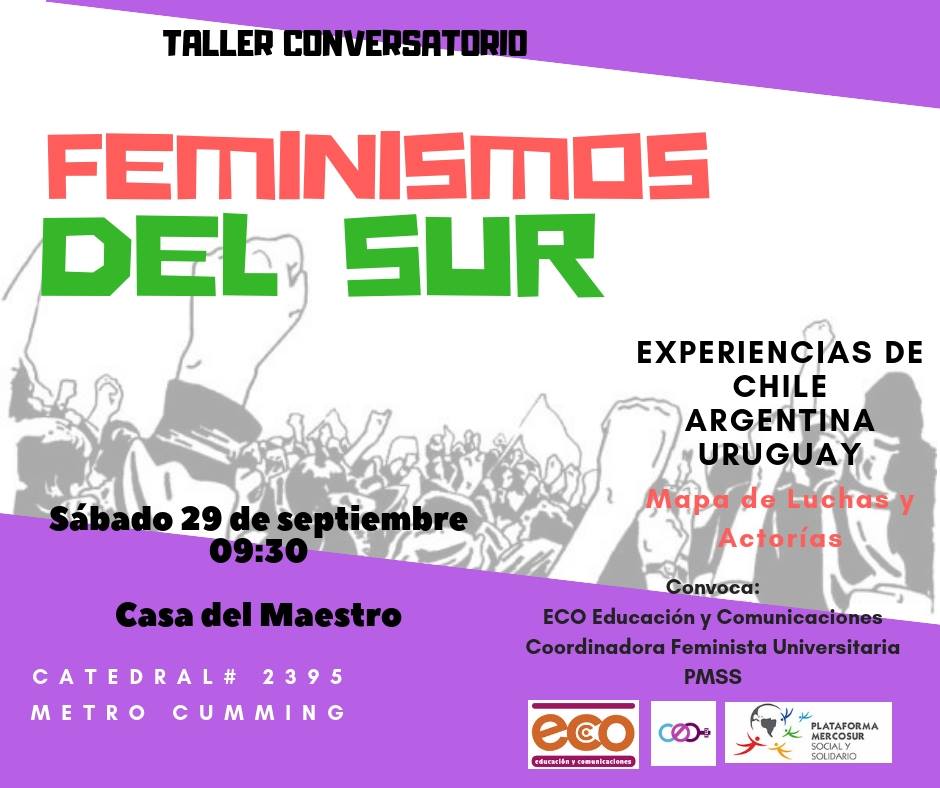Feminismos del sur: Experiencias de Chile, Argentina y Uruguay