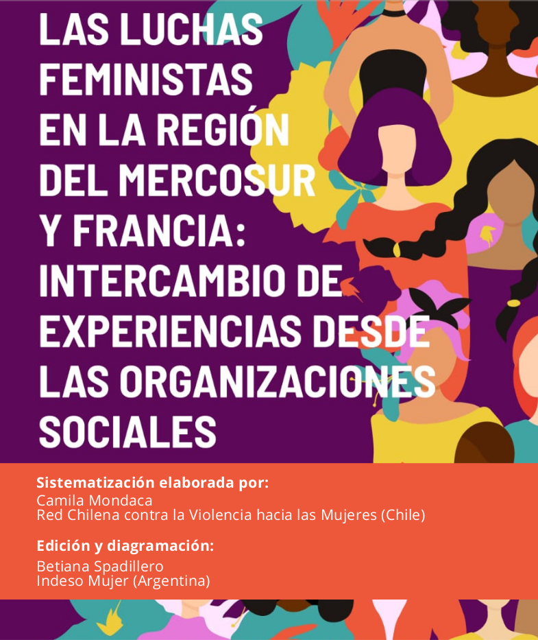 Sistematización | Luchas feministas en la Región del Mercosur y Francia: intercambio de experiencias desde las organizaciones sociales